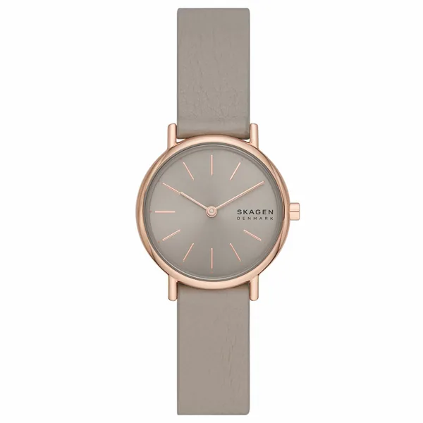 Skagen Skw3060 Kadın Kol Saati