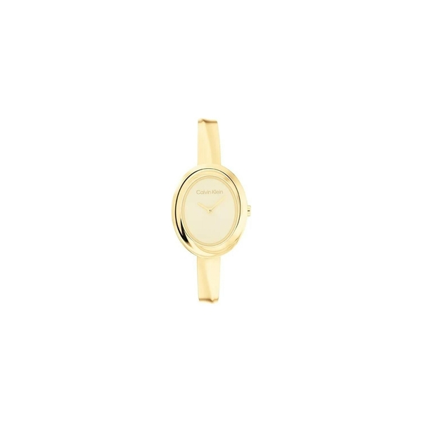 CALVIN KLEIN CK25100056 Quartz KADIN / KIZ KOL SAATİ