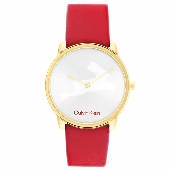 Calvin Klein CK25200219 Kol Saati
