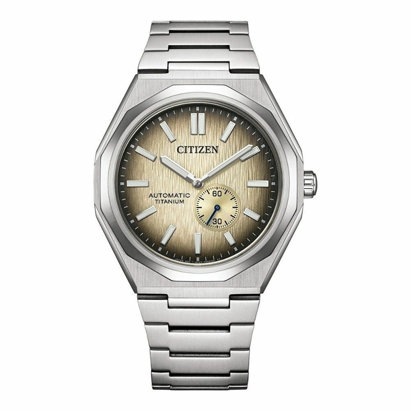 Citizen Zenshin 60 Super Titanium Small Seconds Otomatik Erkek Kol Saati Nk5020-58P