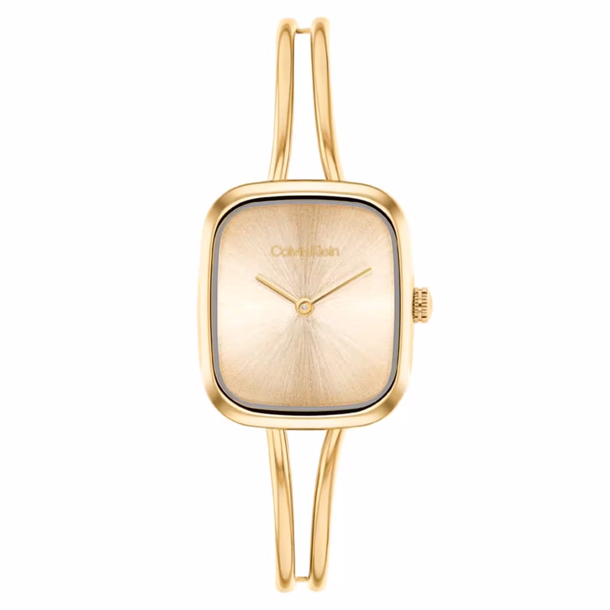 Calvin Klein CK25100132 Analog Kadın / Kız Kol Saati