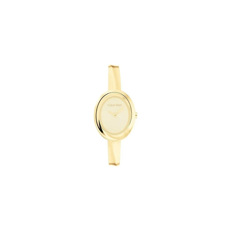 CALVIN KLEIN CK25100056 Quartz KADIN / KIZ KOL SAATİ