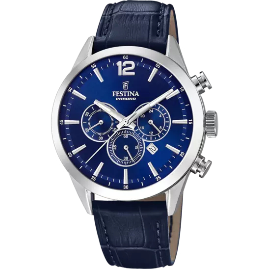 Festına F20542/2 Tımeless Chronograph Erkek Kol Saati