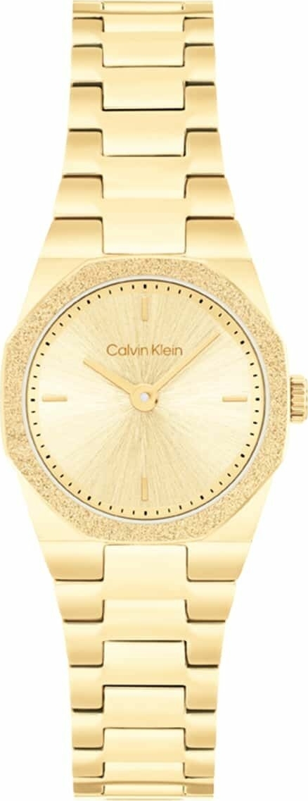 Calvin Klein CK25100142 Kadın Kol Saati