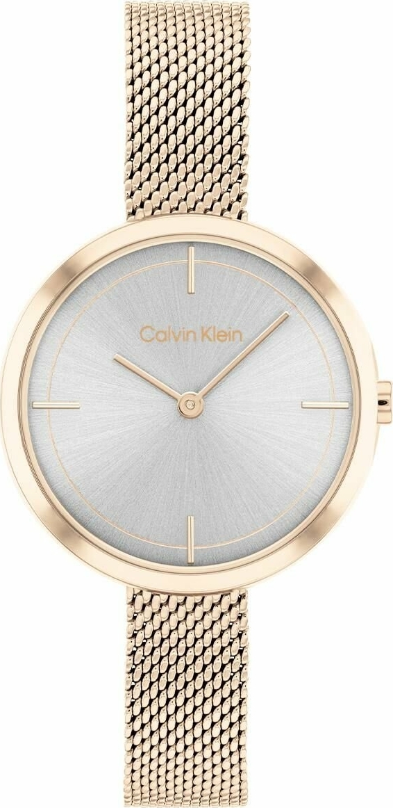Calvin Klein CK25200187 Kadın Kol Saati