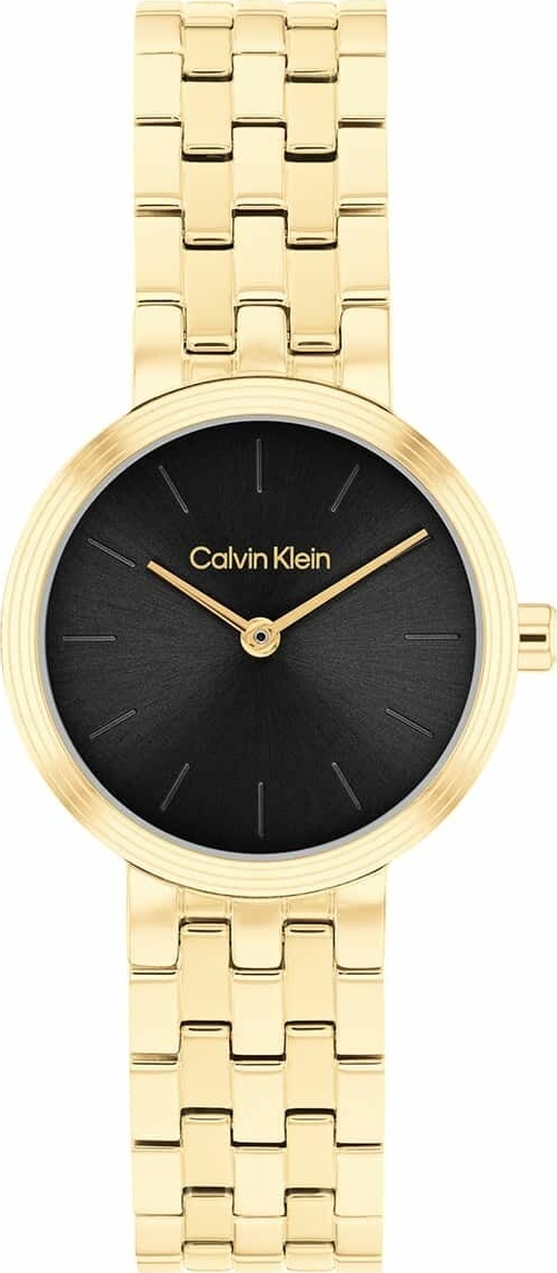 Calvin Klein CK25100187 Kadın Kol Saati