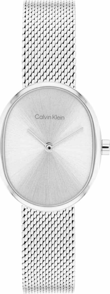 Calvin Klein CK25100173 Kadın Kol Saati
