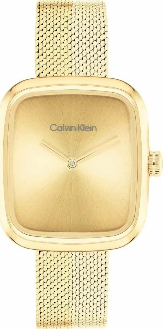Calvin Klein CK25100099 Kadın Kol Saati