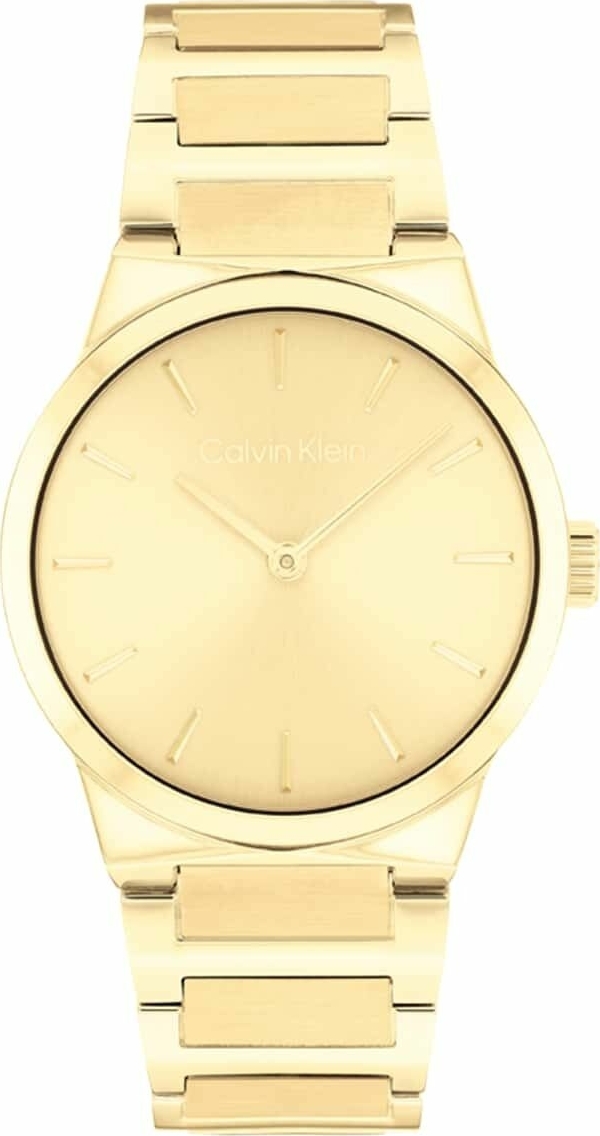 Calvin Klein CK25100077 Kadın Kol Saati