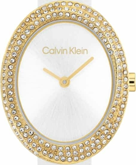 Calvin Klein Ck25100146 Kadın Kol Saati