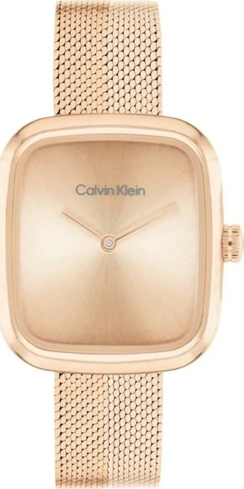 Calvin Klein Ck25100101 Kadın Kol Saati