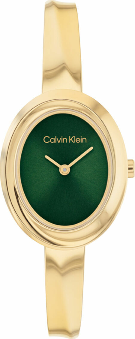 Calvin Klein CK25100203 Kadın Kol Saati