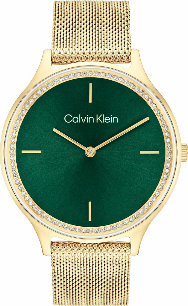 Calvin Klein CK25100005 Kadın Kol Saati