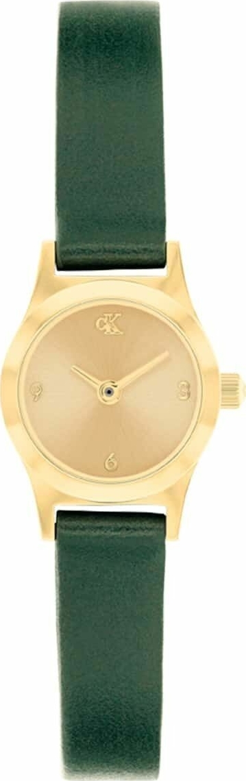 Calvin Klein Ck25100204 Kadın Kol Saati