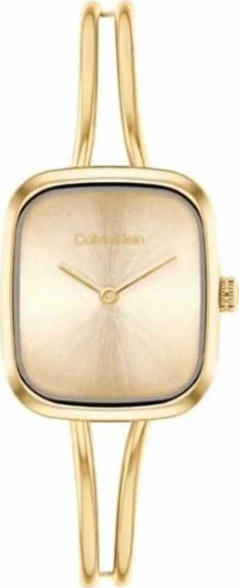 Calvın Kleın Ck25100132 Analog Kadın / Kız Kol Saati