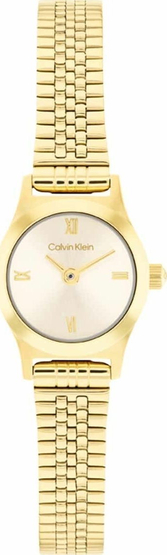 Calvin Klein CK25100201 Kadın Kol Saati