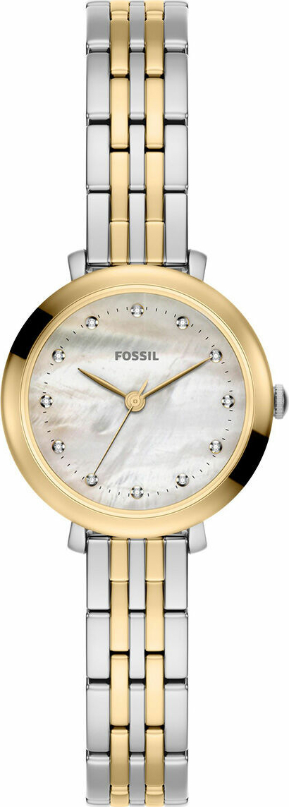 Fossil FES5500 Kadın Kol Saati