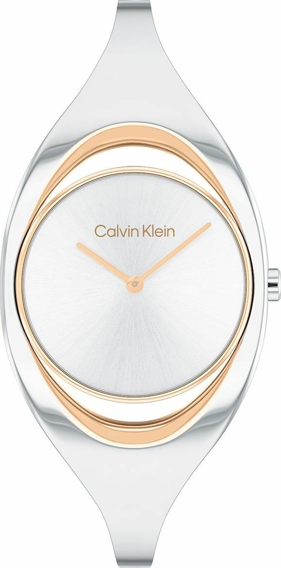 Calvin Klein CK25200393 Kadın Kol Saati