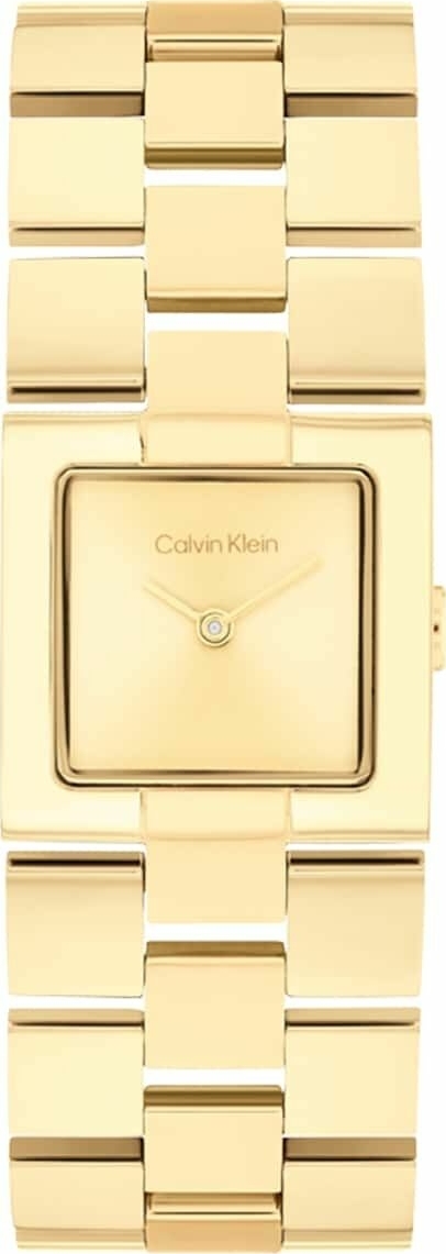 Calvin Klein CK25100089 Kadın Kol Saati