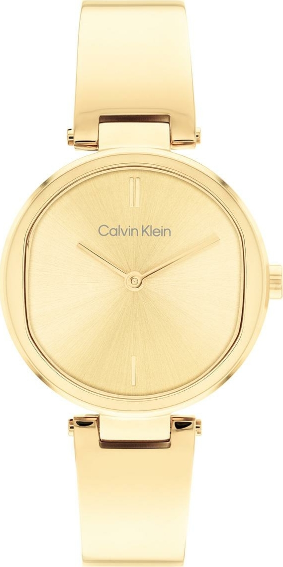 Calvin Klein Ck25200309