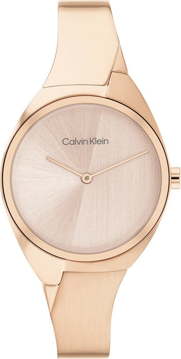 Calvin Klein Ck25200236 Kadın Kol Saati