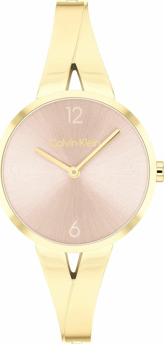 CALVIN KLEIN CK25100027 Pilli KADIN KOL SAATİ