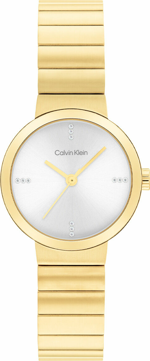 Calvin Klein Ck25200416 Kadın Kol Saati