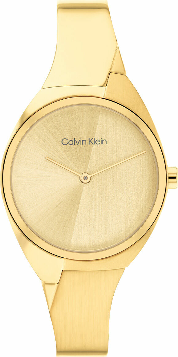 Calvin Klein CK25200235 Kadın Kol Saati