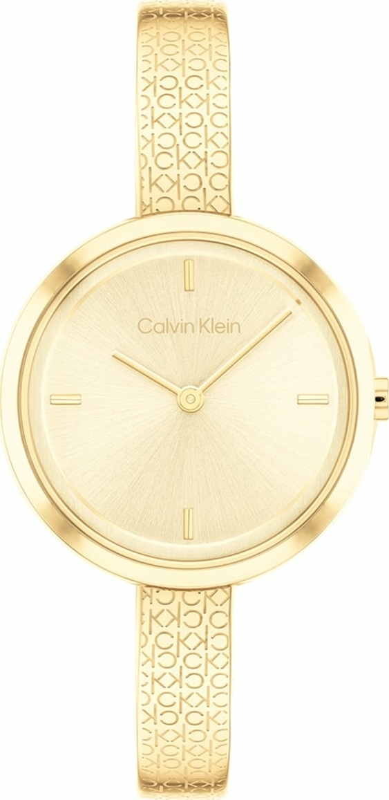 Calvin Klein Ck25200182 Kadın Kol Saati