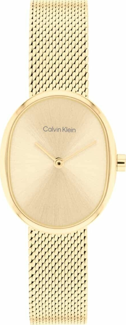 Calvin Klein CK25100174 Kadın Kol Saati
