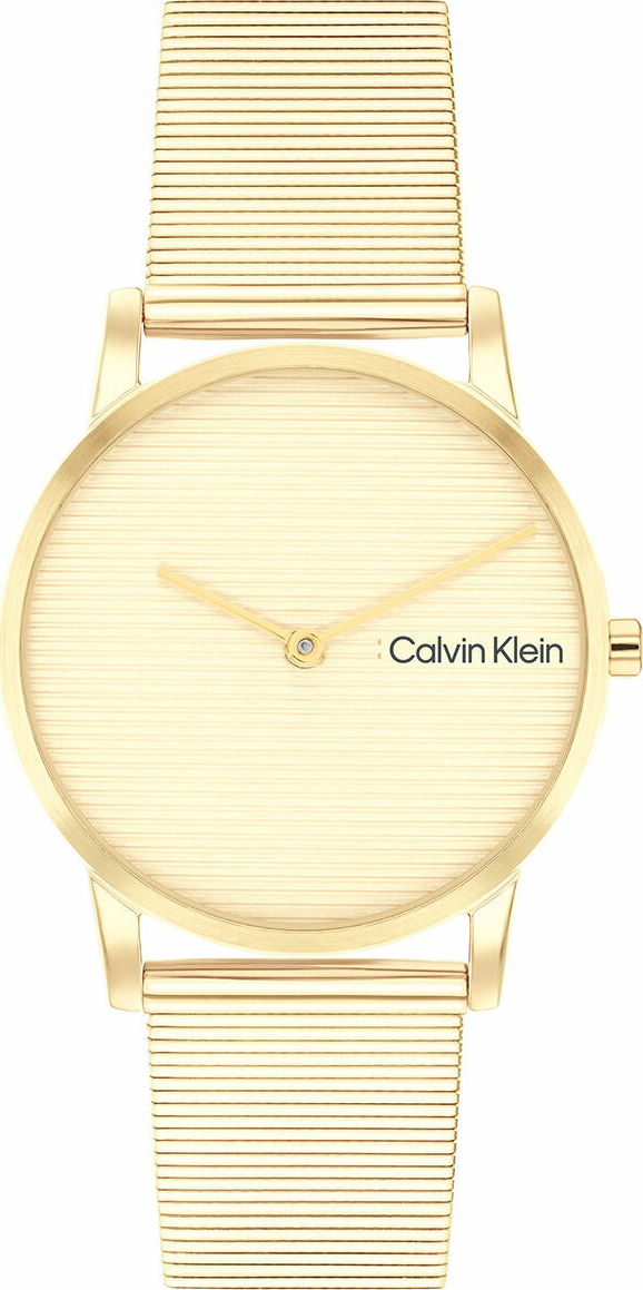 Calvin Klein CK25100035 Kadın Kol Saati