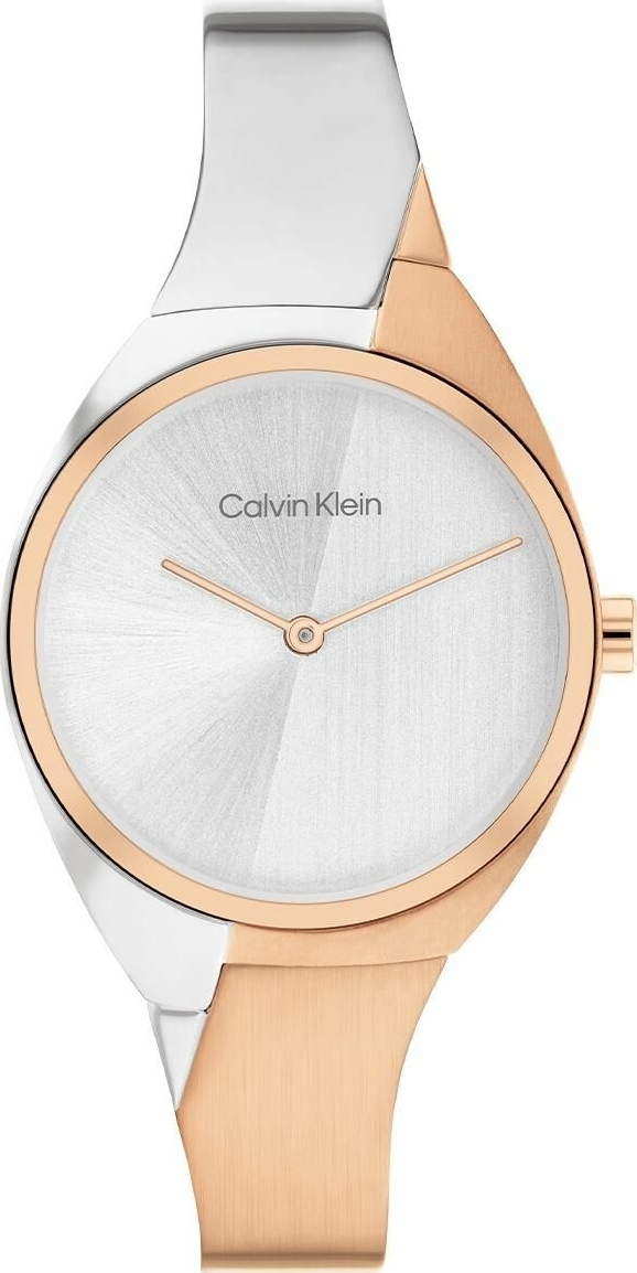 Calvin Klein CK25200237 Kadın  Kol Saati