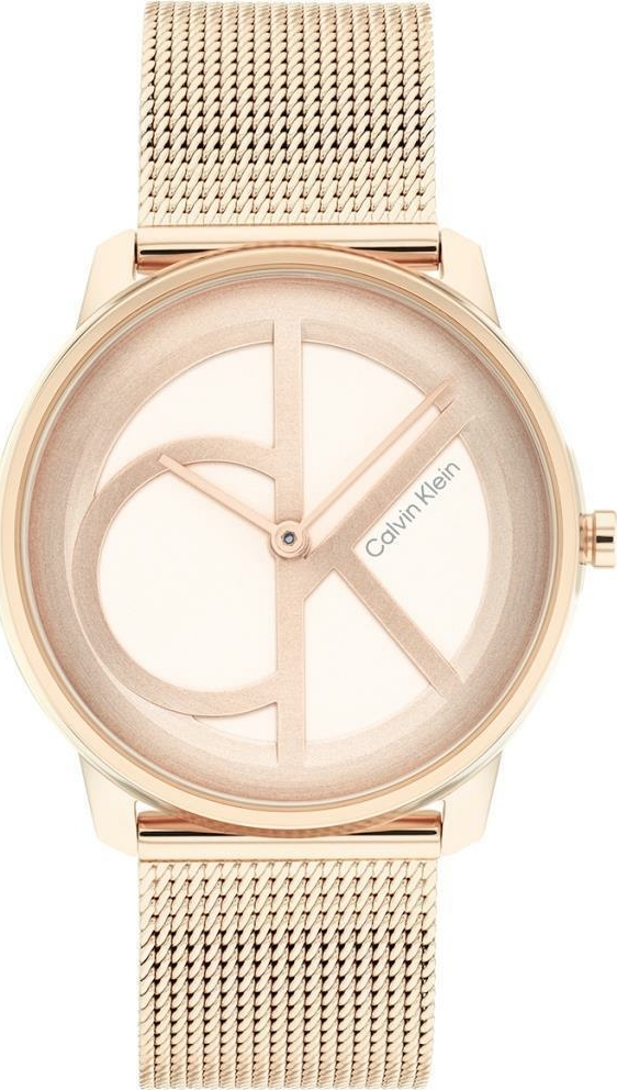 Calvin Klein CK25200035 Kadın Kol Saati