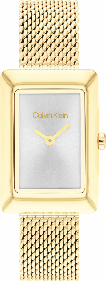 Calvin Klein CK25200396