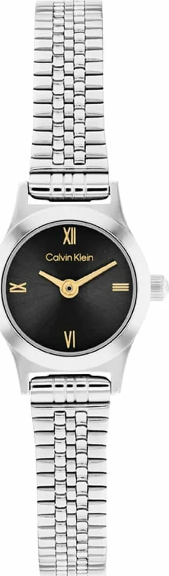 Calvin Klein CK25100200 Kadın Kol Saati