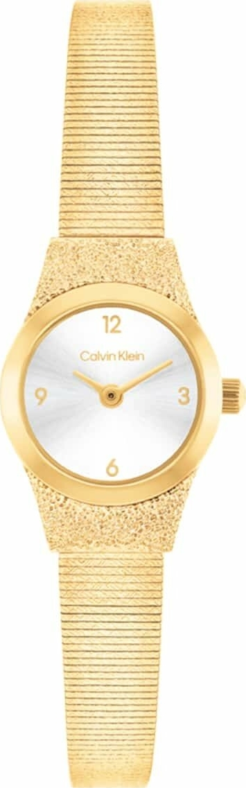 Calvin Klein Ck25100193 Kadın Kol Saati