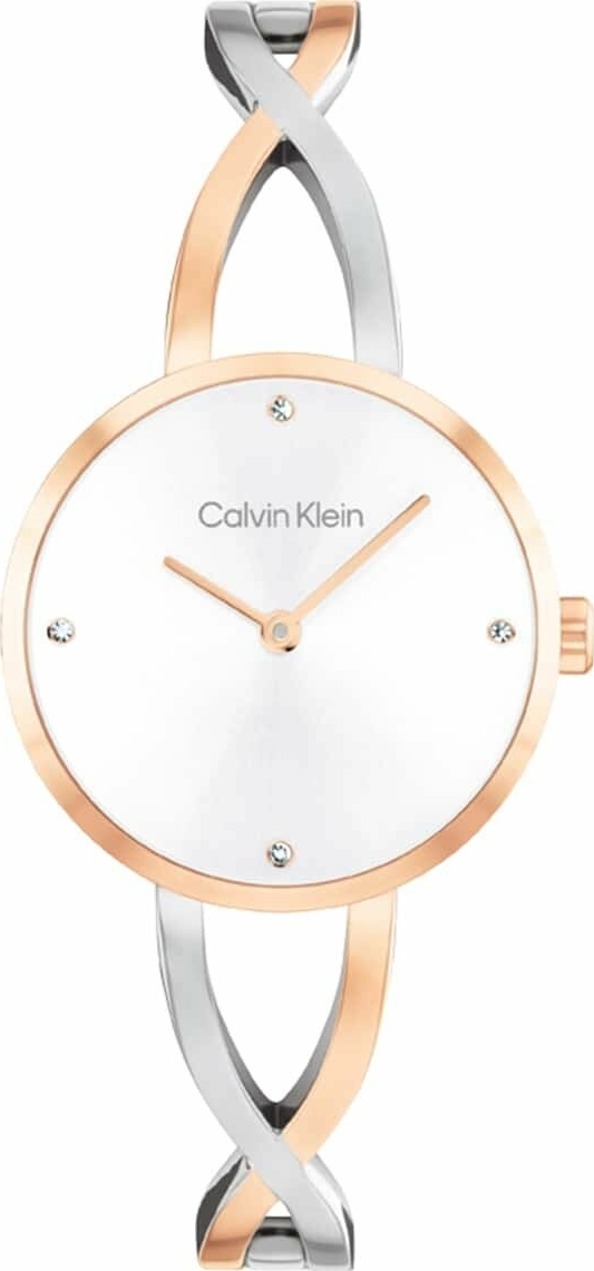 Calvin Klein Ck25100060 Kadın Kol Saati