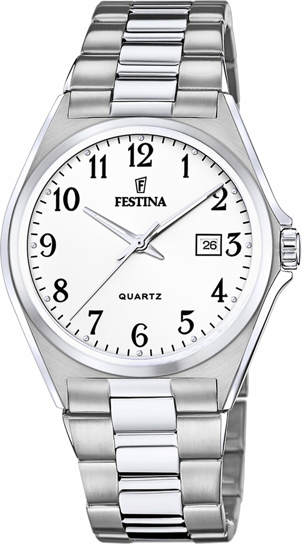 Festına F20552/1 Classıcs Erkek Kol Saati