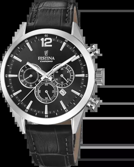 Festına F20542/5 Tımeless Chronograph Erkek Kol Saati