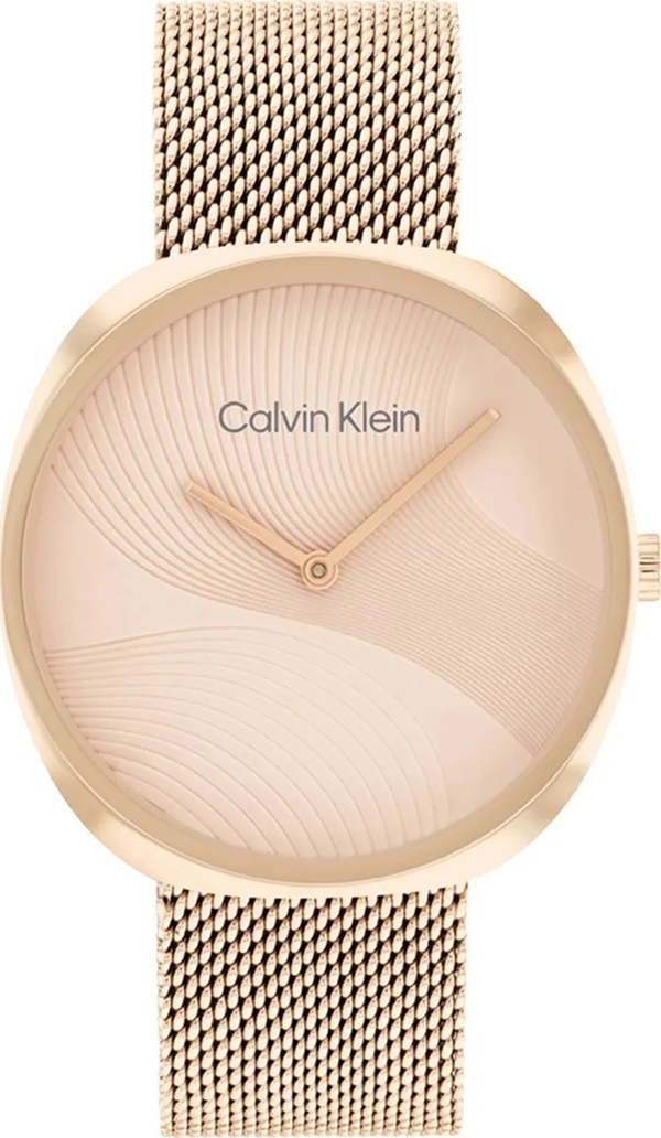 Calvin Klein CK25200247 Kadın Kol Saati