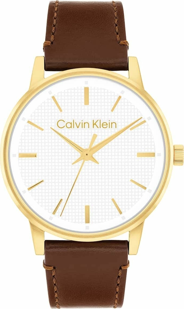 Calvin Klein Ck25200503 Erkek Kol Saati