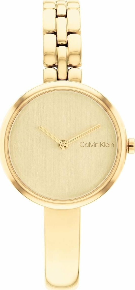 Calvin Klein CK25200279 Kadın Kol Saati