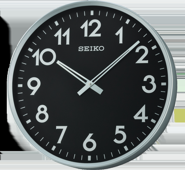Seıko Qxa560A
