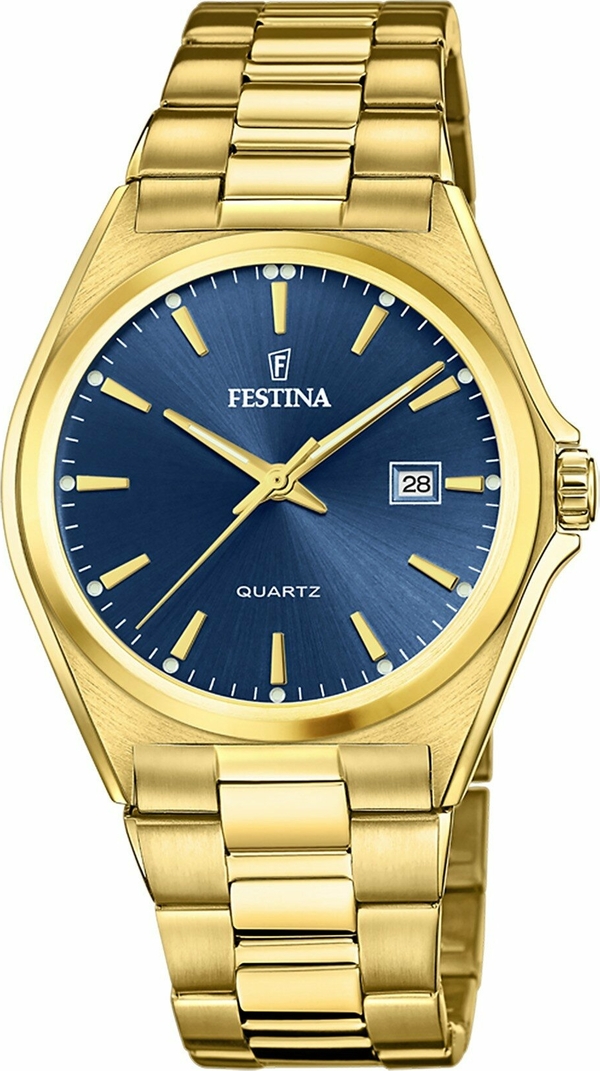 Festına F20555/4 Classıcs Erkek Kol Saati