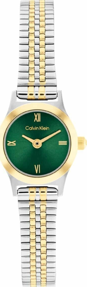 Calvin Klein Ck25100202 Kadın Kol Saati